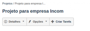 Detalhes de um novo projeto